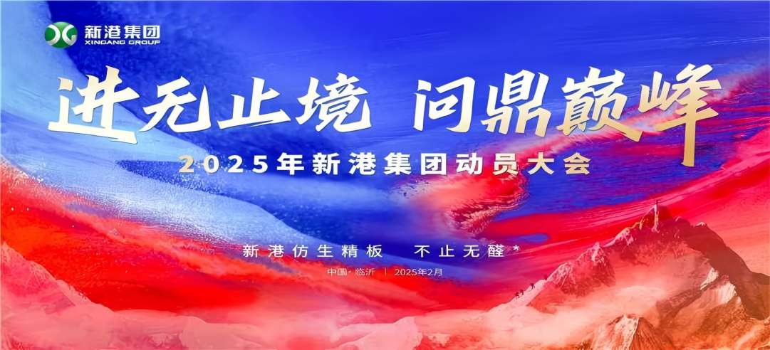 進無止境，問鼎巔峰！2025年新港集團動員大會成功召開！